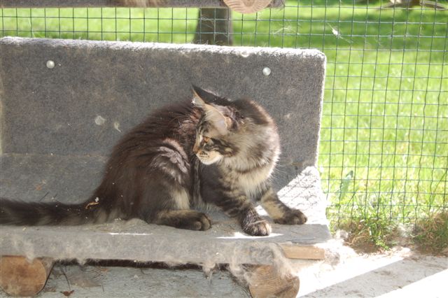 youp gaga en nina week 15 053.jpg